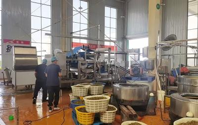 酸菜脫水生產線